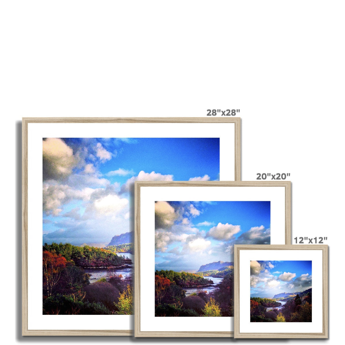 28x28 Plockton Art Prints framed autumn foliage with golden frame