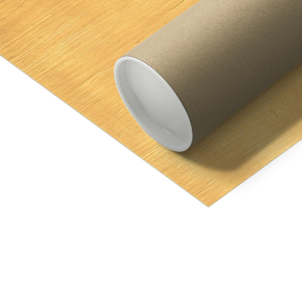 Brown cardboard tube with white lining for Hahnemühle German Etching Print