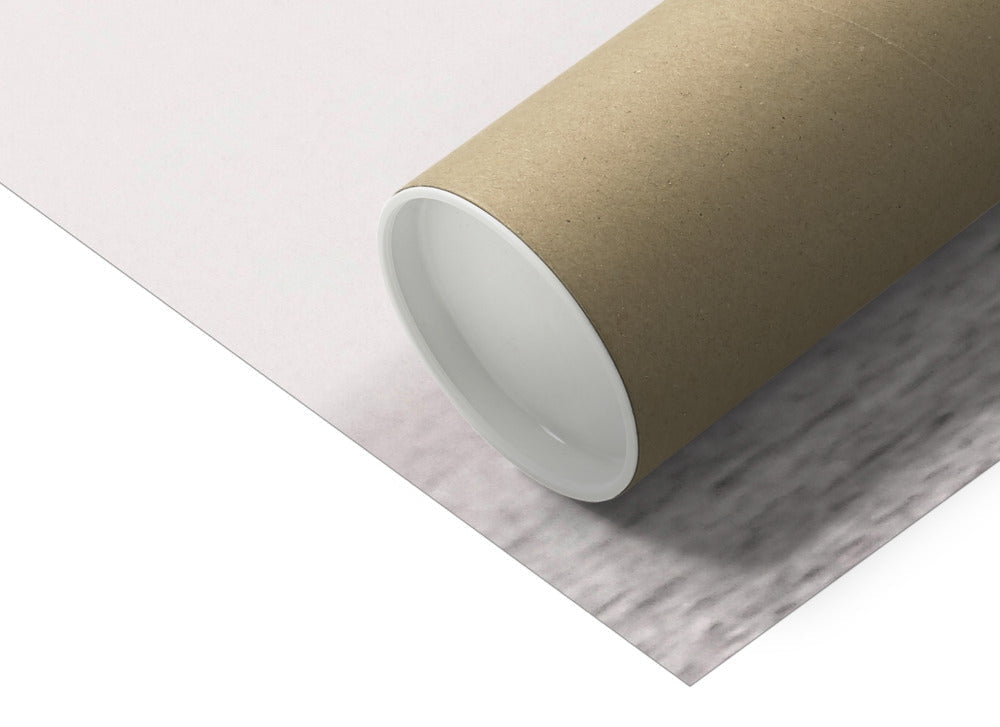 Sea Eagle on the Hunt print in brown cardboard tube with white lining