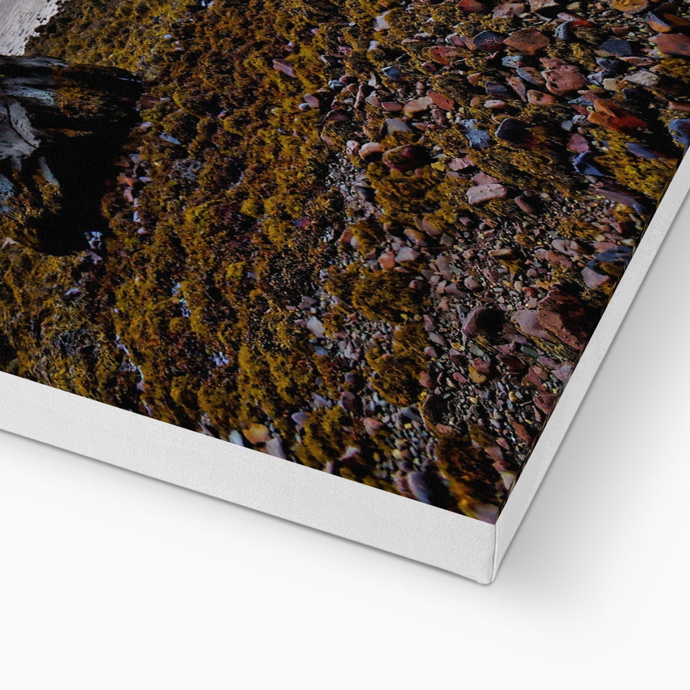 Torridon canvas print of rocky shoreline with moss and water
